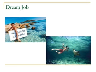 Dream Job

 