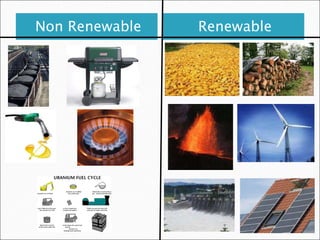 Non Renewable Renewable 