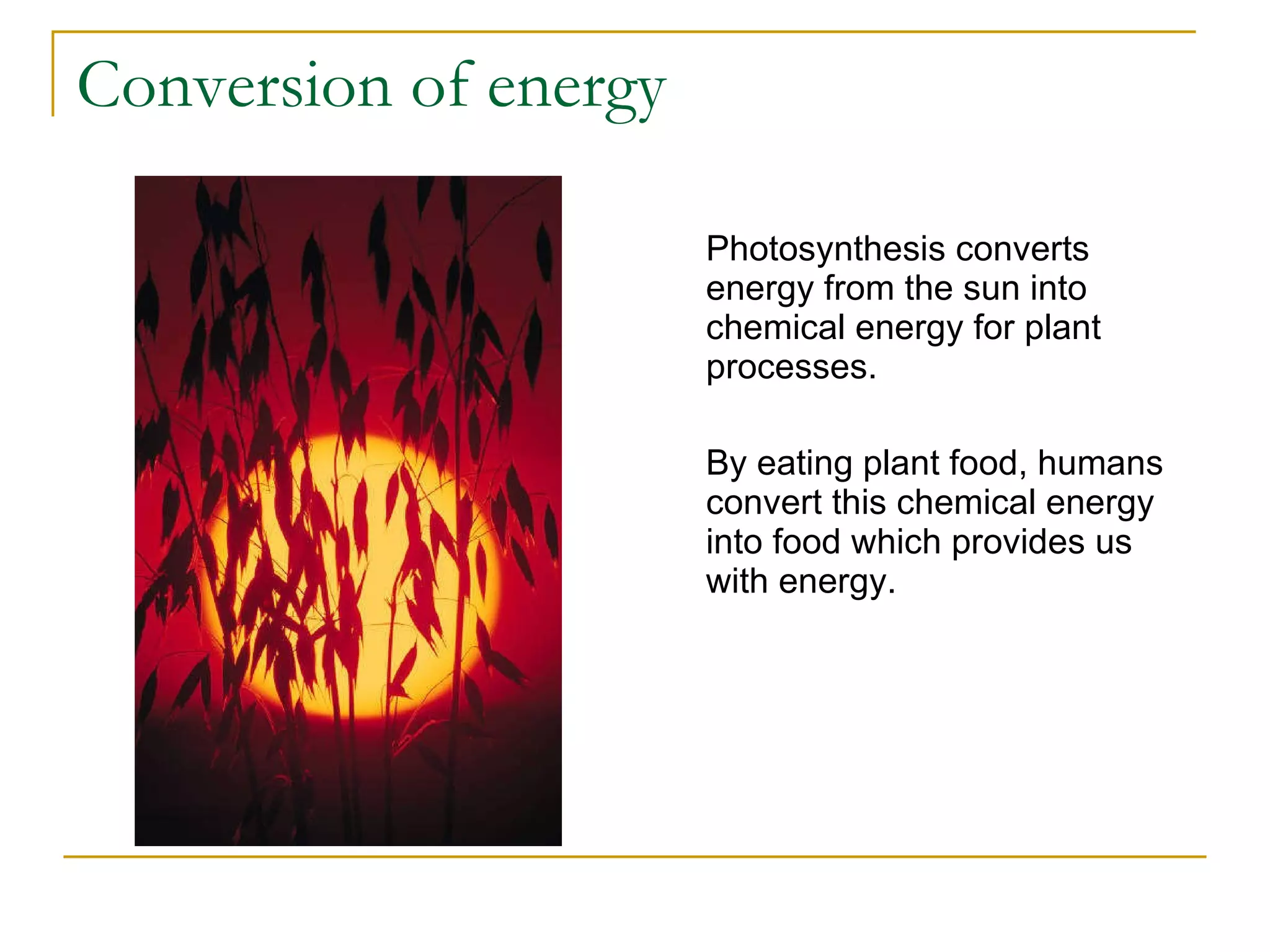Conversion of energy Photosynthesis converts energy from the sun into chemical energy for plant processes. By eating plant food, humans convert this chemical energy into food which provides us with energy.  