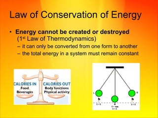 Law of Conservation of Energy Energy cannot be created or destroyed   (1 st  Law of Thermodynamics) it can only be converted from one form to another the total energy in a system must remain constant 