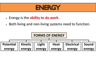 energy
  ●   Energy is the ability to do work.
  ●   Both living and non-living systems need to function.

                       FORMS OF ENERGY

Potential    Kinetic     Light    Heat    Electrical   Sound
 energy      energy     energy   energy    energy      energy
 