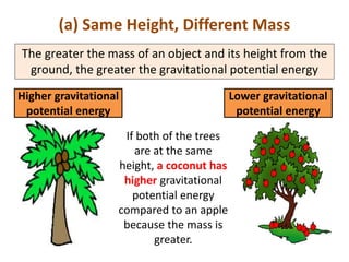 (a) Same Height, Different Mass
The greater the mass of an object and its height from the
 ground, the greater the gravitational potential energy
Higher gravitational                       Lower gravitational
 potential energy                           potential energy

                    If both of the trees
                      are at the same
                   height, a coconut has
                    higher gravitational
                      potential energy
                   compared to an apple
                    because the mass is
                          greater.
 