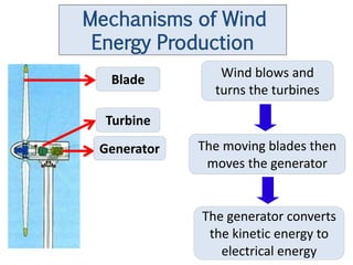 Mechanisms of Wind
 Energy Production
  Blade         Wind blows and
               turns the turbines

  Turbine
 Generator   The moving blades then
              moves the generator


             The generator converts
              the kinetic energy to
                electrical energy
 