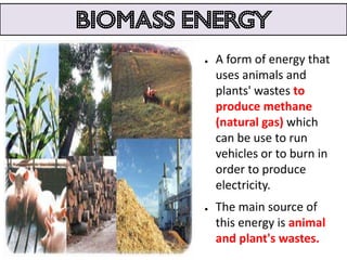 Biomass energy
         ●   A form of energy that
             uses animals and
             plants' wastes to
             produce methane
             (natural gas) which
             can be use to run
             vehicles or to burn in
             order to produce
             electricity.
         ●   The main source of
             this energy is animal
             and plant's wastes.
 