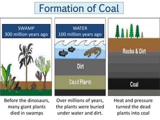 Formation of Coal
      SWAMP                    WATER
300 million years ago    100 million years ago




Before the dinosaurs,   Over millions of years,   Heat and pressure
 many giant plants      the plants were buried     turned the dead
   died in swamps        under water and dirt.      plants into coal
 