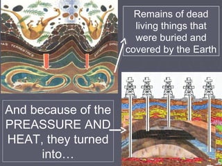 And because of the
PREASSURE AND
HEAT, they turned
into…
Remains of dead
living things that
were buried and
covered by the Earth
 