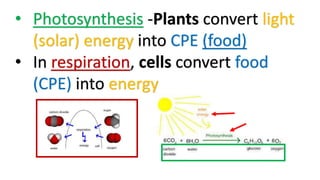 • Photosynthesis -Plants convert light
(solar) energy into CPE (food)
• In respiration, cells convert food
(CPE) into energy
 