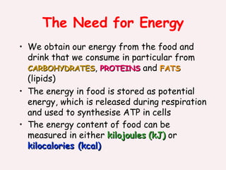 The Need for Energy ,[object Object],[object Object],[object Object]