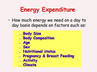 Energy Expenditure How much energy we need on a day to day basis depends on factors such as: Body Size Body Composition Age Sex Nutritional status Pregnancy & Breast Feeding Activity Climate 