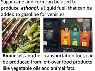 Sugar cane and corn can be used to
produce ethanol, a liquid fuel, that can be
added to gasoline for vehicles.




Biodiesel, another transportation fuel, can
be produced from left-over food products
like vegetable oils and animal fats.
 