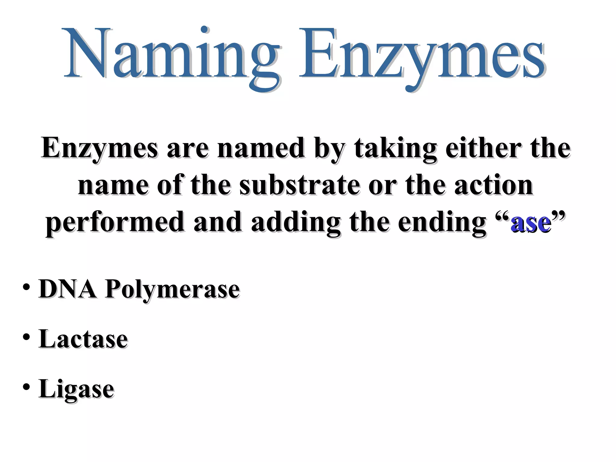 Naming Enzymes Enzymes are named by taking either the name of the substrate or the action performed and adding the ending “ ase ” DNA Polymerase  Lactase Ligase 