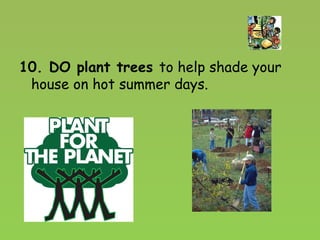 10. DO plant trees to help shade your house on hot summer days.