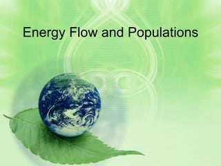 Energy Flow and Populations
 