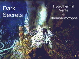 Hydrothermal Vents & Chemoautotrophs Dark Secrets 