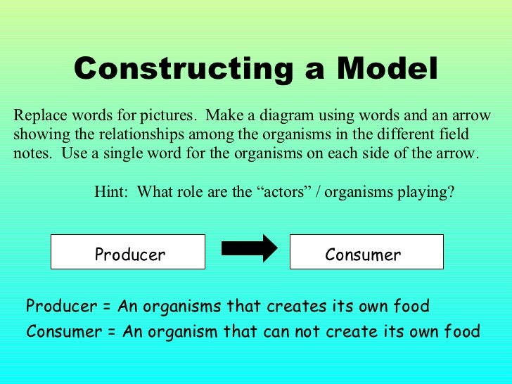 An Organism That Creates Its Own Food An Organism That Creates Its Own Food