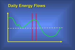 Daily Energy Flows 