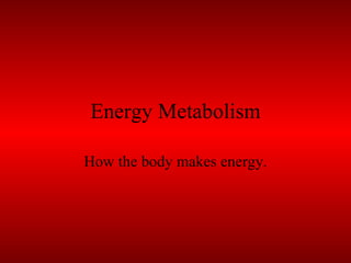 Energy Metabolism How the body makes energy. 