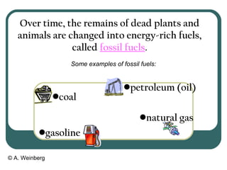 © A. Weinberg
Over time, the remains of dead plants and
animals are changed into energy-rich fuels,
called fossil fuels.
Some examples of fossil fuels:
•petroleum (oil)
•coal
•natural gas
•gasoline
 
