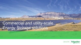 Commercial and utility-scale
Energy Storage solutions
 