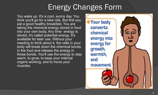 Energy Changes Form
You wake up. It's a cool, sunny day, You
think you'll go for a bike ride. But first you
eat a good healthy breakfast. You are
taking the chemical energy stored in food
into your own body. Any time energy is
stored, it's called potential energy. It's
available for later use. Without your
needing to think about it, the cells in your
body will break down the chemical bonds
in the food and release the energy in
those bonds. You'll use the energy to stay
warm, to grow, to keep your internal
organs working, and to move your
muscles.




                                                 13
 