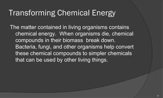 Transforming Chemical Energy
The matter contained in living organisms contains
  chemical energy. When organisms die, chemical
  compounds in their biomass break down.
  Bacteria, fungi, and other organisms help convert
  these chemical compounds to simpler chemicals
  that can be used by other living things.




                                                      17
 