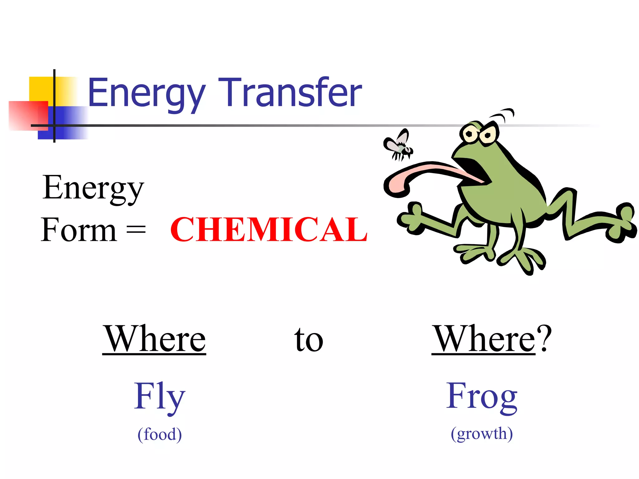Energy Transfer Energy Form = Where   to   Where ?  CHEMICAL Fly (food) Frog (growth) 