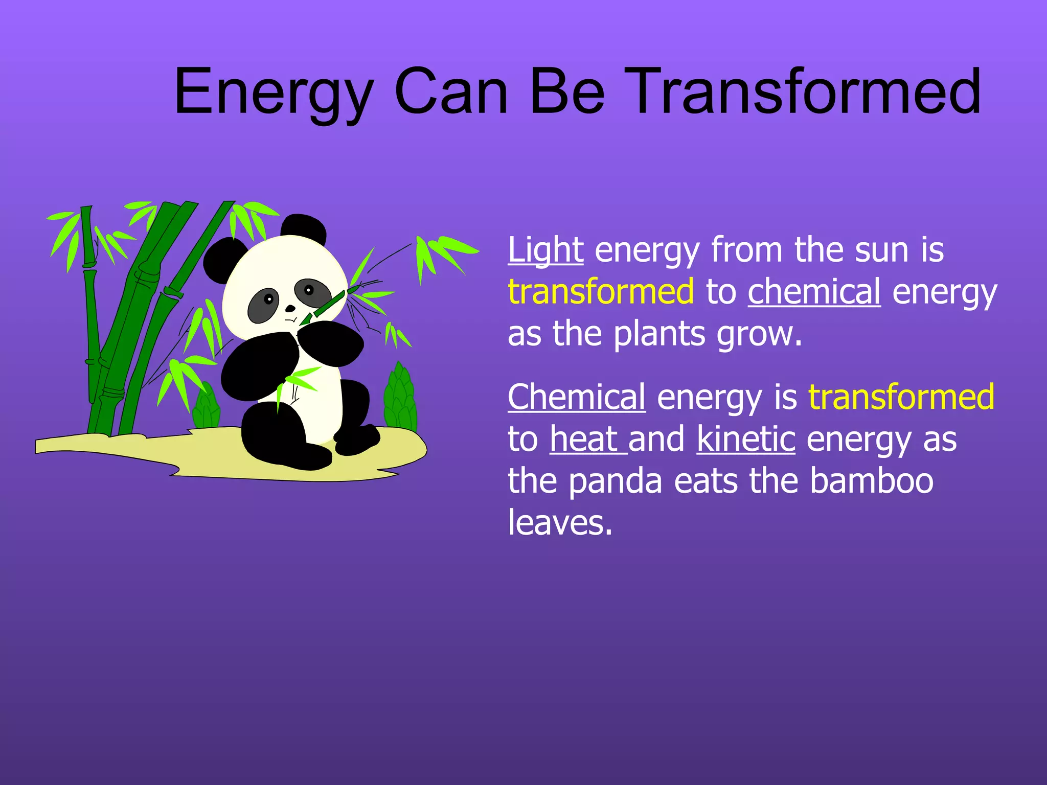 Energy Can Be Transformed Light  energy from the sun is  transformed  to  chemical  energy as the plants grow. Chemical  energy is  transformed  to  heat  and  kinetic  energy as the panda eats the bamboo leaves. 