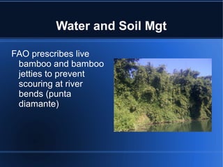 Water and Soil Mgt

FAO prescribes live
 bamboo and bamboo
 jetties to prevent
 scouring at river
 bends (punta
 diamante)
 