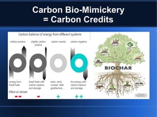 Carbon Bio-Mimickery
  = Carbon Credits
 