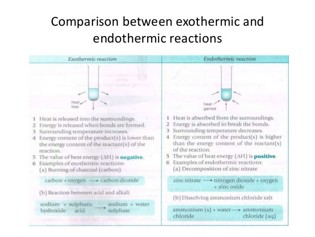 exothermic and endothermic essay Were dinosaurs endothermic or exothermic details the paper should include an abstract of approximately 200 words, an proffesoressayscom lists more than 1,000,000 essays, research papers and assignment covering all major areas of academics read more quick links our affordable prices. exothermic and endothermic essay Were dinosaurs endothermic or exothermic details the paper should include an abstract of approximately 200 words, an proffesoressayscom lists more than 1,000,000 essays, research papers and assignment covering all major areas of academics read more quick links our affordable prices.