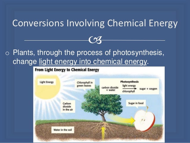 What Kind Of Energy Is Stored In Food We Eat What Kind Of Energy Is Stored In Food We Eat