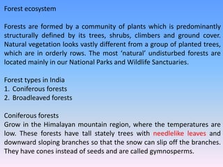 Forest ecosystem
Forests are formed by a community of plants which is predominantly
structurally defined by its trees, shrubs, climbers and ground cover.
Natural vegetation looks vastly different from a group of planted trees,
which are in orderly rows. The most ‘natural’ undisturbed forests are
located mainly in our National Parks and Wildlife Sanctuaries.
Forest types in India
1. Coniferous forests
2. Broadleaved forests
Coniferous forests
Grow in the Himalayan mountain region, where the temperatures are
low. These forests have tall stately trees with needlelike leaves and
downward sloping branches so that the snow can slip off the branches.
They have cones instead of seeds and are called gymnosperms.
 