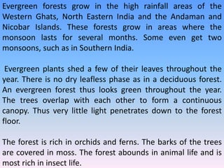 Evergreen forests grow in the high rainfall areas of the
Western Ghats, North Eastern India and the Andaman and
Nicobar Islands. These forests grow in areas where the
monsoon lasts for several months. Some even get two
monsoons, such as in Southern India.
Evergreen plants shed a few of their leaves throughout the
year. There is no dry leafless phase as in a deciduous forest.
An evergreen forest thus looks green throughout the year.
The trees overlap with each other to form a continuous
canopy. Thus very little light penetrates down to the forest
floor.
The forest is rich in orchids and ferns. The barks of the trees
are covered in moss. The forest abounds in animal life and is
most rich in insect life.
 