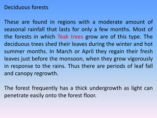 Deciduous forests
These are found in regions with a moderate amount of
seasonal rainfall that lasts for only a few months. Most of
the forests in which Teak trees grow are of this type. The
deciduous trees shed their leaves during the winter and hot
summer months. In March or April they regain their fresh
leaves just before the monsoon, when they grow vigorously
in response to the rains. Thus there are periods of leaf fall
and canopy regrowth.
The forest frequently has a thick undergrowth as light can
penetrate easily onto the forest floor.
 