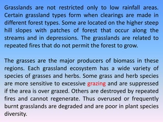 Grasslands are not restricted only to low rainfall areas.
Certain grassland types form when clearings are made in
different forest types. Some are located on the higher steep
hill slopes with patches of forest that occur along the
streams and in depressions. The grasslands are related to
repeated fires that do not permit the forest to grow.
The grasses are the major producers of biomass in these
regions. Each grassland ecosystem has a wide variety of
species of grasses and herbs. Some grass and herb species
are more sensitive to excessive grazing and are suppressed
if the area is over grazed. Others are destroyed by repeated
fires and cannot regenerate. Thus overused or frequently
burnt grasslands are degraded and are poor in plant species
diversity.
 