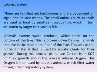 Lake ecosystem
There are fish that are herbivorous and are dependent on
algae and aquatic weeds. The small animals such as snails
are used as food by small carnivorous fish, which in turn
are eaten by larger carnivorous fish.
Animals excrete waste products, which settle on the
bottom of the lake. This is broken down by small animals
that live in the mud in the floor of the lake. This acts as the
nutrient material that is used by aquatic plants for their
growth. During this process plants use Carbon from CO2
for their growth and in the process release Oxygen. This
Oxygen is then used by aquatic animals, which filter water
through their respiratory system.
 