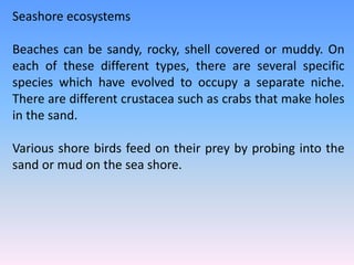 Seashore ecosystems
Beaches can be sandy, rocky, shell covered or muddy. On
each of these different types, there are several specific
species which have evolved to occupy a separate niche.
There are different crustacea such as crabs that make holes
in the sand.
Various shore birds feed on their prey by probing into the
sand or mud on the sea shore.
 