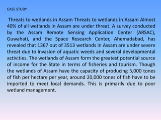 CASE STUDY
Threats to wetlands in Assam Threats to wetlands in Assam Almost
40% of all wetlands in Assam are under threat. A survey conducted
by the Assam Remote Sensing Application Center (ARSAC),
Guwahati, and the Space Research Center, Ahemadabad, has
revealed that 1367 out of 3513 wetlands in Assam are under severe
threat due to invasion of aquatic weeds and several developmental
activities. The wetlands of Assam form the greatest potential source
of income for the State in terms of fisheries and tourism. Though
the wetlands of Assam have the capacity of producing 5,000 tones
of fish per hectare per year, around 20,000 tones of fish have to be
imported to meet local demands. This is primarily due to poor
wetland management.
 