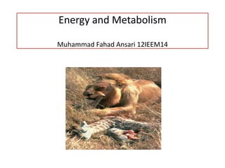 Energy and Metabolism

Muhammad Fahad Ansari 12IEEM14
 