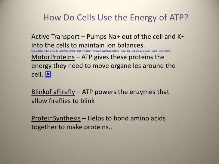 Energy and photosynthesis