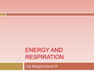 ENERGY AND
RESPIRATION
12a Bilegdemberel.M

 