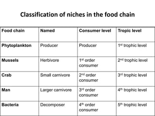 Classification of niches in the food chain
Food chain

Named

Consumer level

Tropic level

Phytoplankton

Producer

Producer

1st trophic level

Mussels

Herbivore

1st order
consumer

2nd trophic level

Crab

Small carnivore

2nd order
consumer

3rd trophic level

Man

Larger carnivore

3rd order
consumer

4th trophic level

Bacteria

Decomposer

4th order
consumer

5th trophic level

 