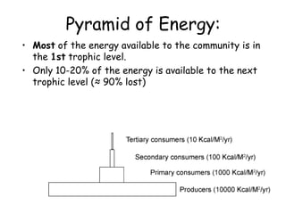 Pyramid of Energy:
• Most of the energy available to the community is in
the 1st trophic level.
• Only 10-20% of the energy is available to the next
trophic level (≈ 90% lost)

 