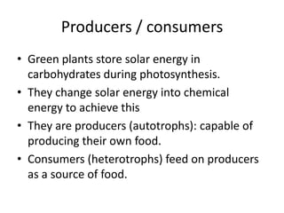 Producers / consumers
• Green plants store solar energy in
carbohydrates during photosynthesis.
• They change solar energy into chemical
energy to achieve this
• They are producers (autotrophs): capable of
producing their own food.
• Consumers (heterotrophs) feed on producers
as a source of food.

 