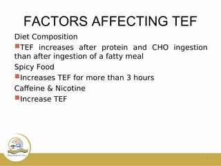 FACTORS AFFECTING TEF
Diet Composition
TEF increases after protein and CHO ingestion
than after ingestion of a fatty meal
Spicy Food
Increases TEF for more than 3 hours
Cafeine & Nicotine
Increase TEF
15
 