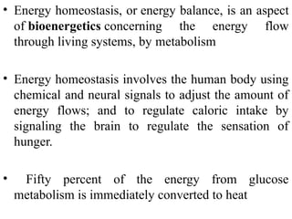 energy balance 4.ppt powerpoint presentation | PPT