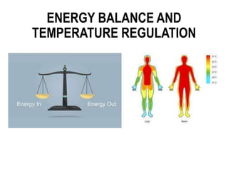 ENERGY BALANCE AND
TEMPERATURE REGULATION
 