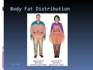 Body Fat Distribution Fig. 7.14 