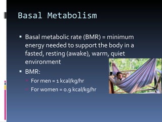 Basal Metabolism Basal metabolic rate (BMR) = minimum energy needed to support the body in a fasted, resting (awake), warm, quiet environment BMR: For men = 1 kcal/kg/hr For women = 0.9 kcal/kg/hr 