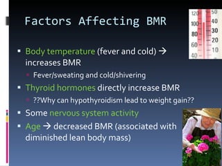 Factors Affecting BMR Body temperature  (fever and cold)    increases BMR Fever/sweating and cold/shivering Thyroid hormones  directly increase BMR ??Why can hypothyroidism lead to weight gain?? Some  nervous system activity Age     decreased BMR (associated with diminished lean body mass) 